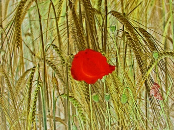 F 063C